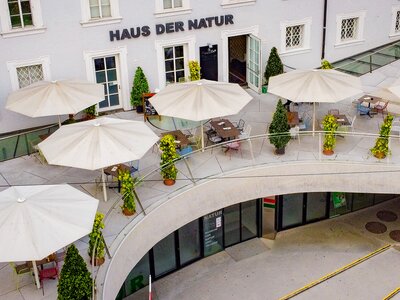 Science Cafe | © Science Cafe